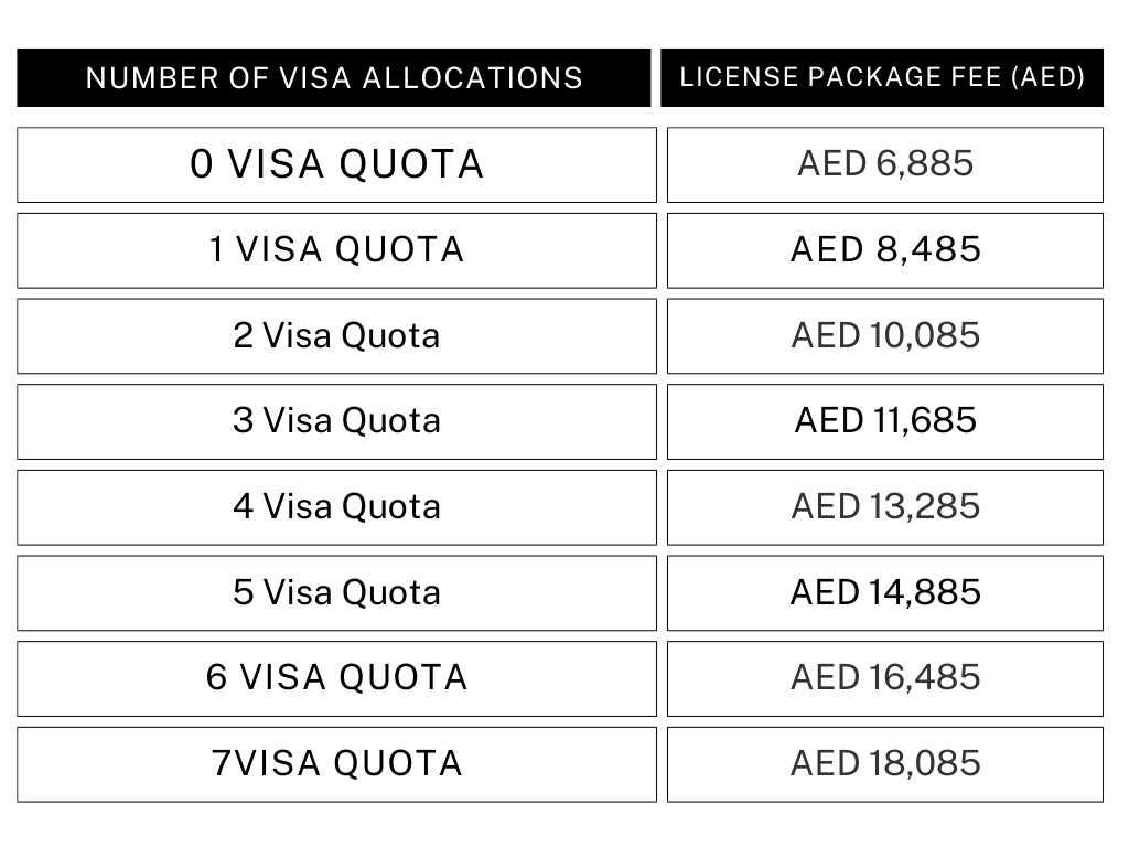 SPC Free Zone License packages based on Visa Quota