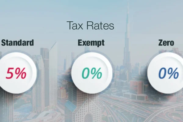 How Does the VAT System Work in Dubai, and Who Needs to Register for VAT?